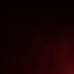 Meet your Posher, Antonio